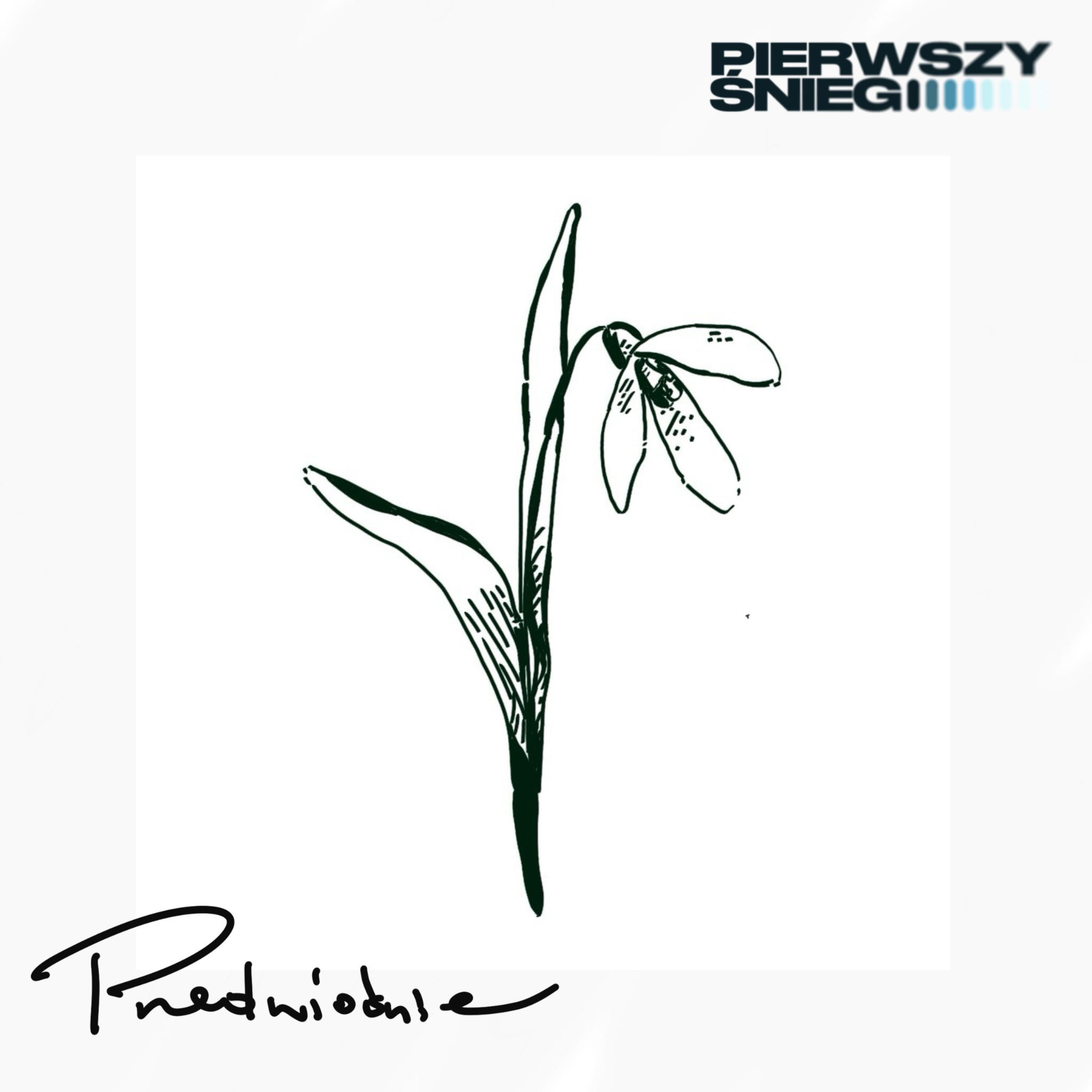 PIERWSZY ŚNIEG - HELLO