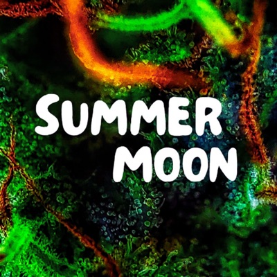 Summer Moon - Single