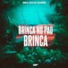 Brinca no Pau Brinca - Single