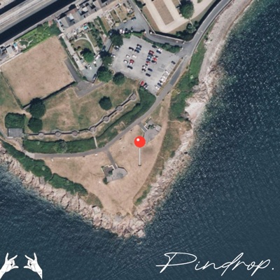 PINDROP - Single