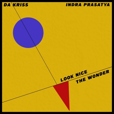 look nice/The Wonder - Single