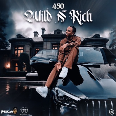 Wild n' Rich cover art