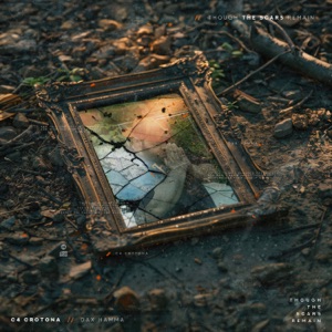 Windchill (feat. Alcott, Bumps Inf, Monster Tarver & R.kitect)