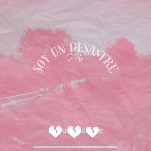 Soy Un Desastre