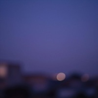 Signs - Single - Soar