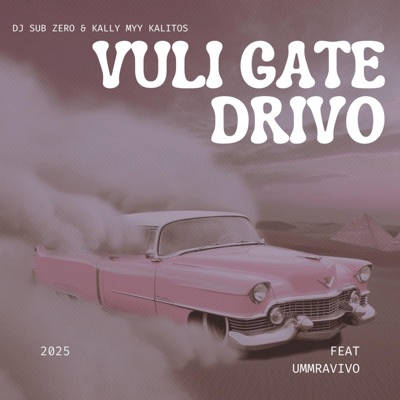 Vuli Gate Drivo (feat. Ummravivo) - Single