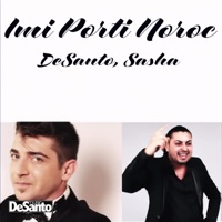 Imi porti noroc (feat. Sasha) - Single - Desanto