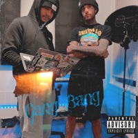 Gang Bang (feat. Torre Lott) - Single - R!ch DaVo!ce
