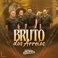 BRUTO DOS ARREIOS