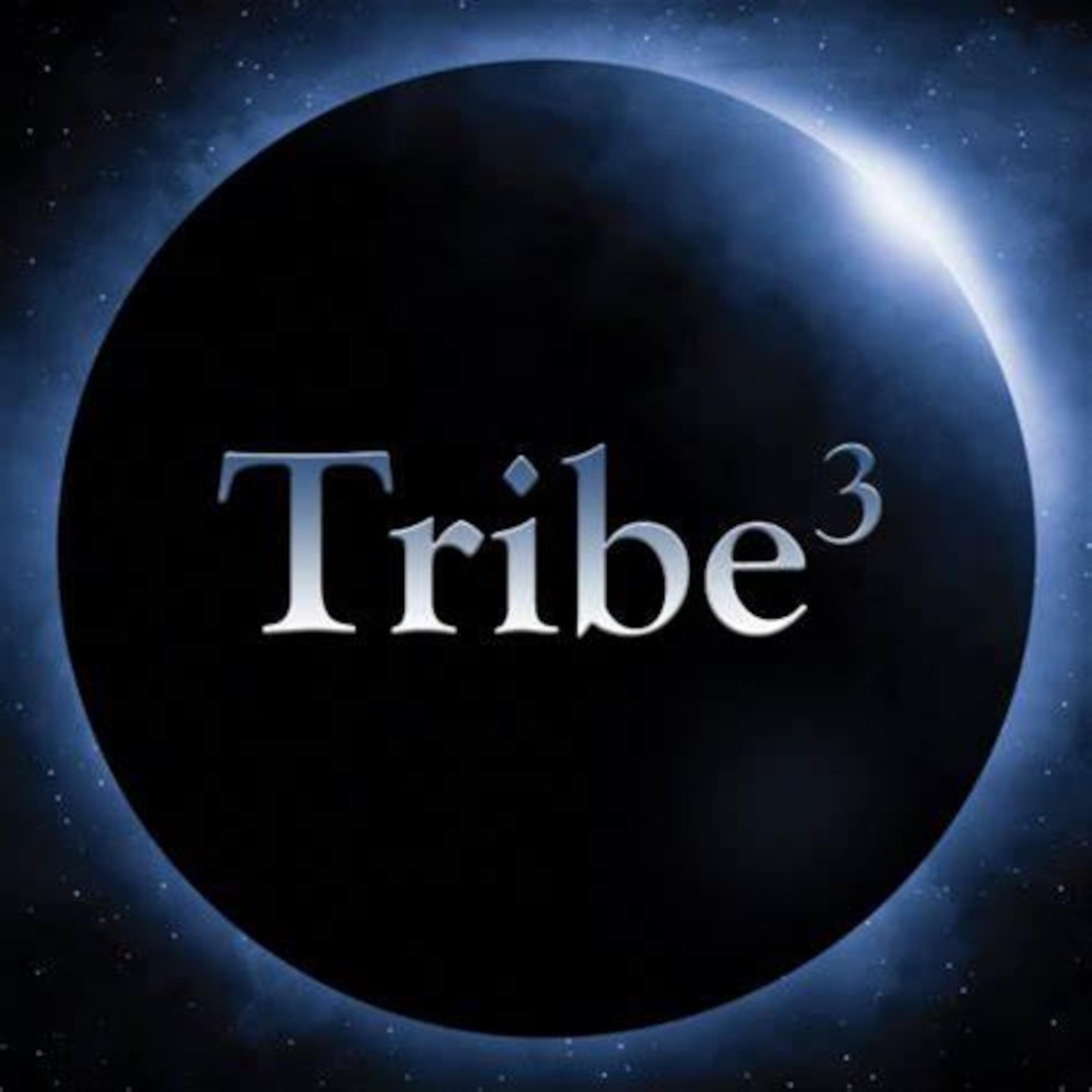 Tribe3 - Falls Like Rain - Life Amongst Strangers