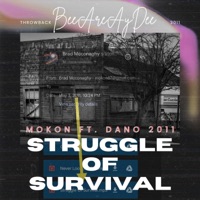 Struggle of Survival (feat. DanO) - Single - BeeAreAyDee