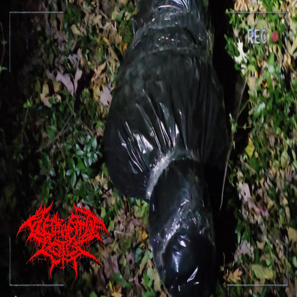 Обложка альбома «Arbiter Ov Torment (feat. The Last Ten Seconds Of Life) - Single» — Flesh of the Lotus