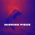 MISSING PIECE