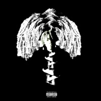 Ca$Hback - Single - Yuni VII., lowkey_esto & SiphoMjita