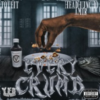 Every Crumb (feat. Headhuncho Amir) - Single - Toteit