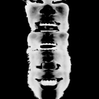 Skitzo (feat. J ghost the conscious hippy) - Single - DeMaciiio