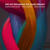 Are We Dreaming The Same Dream? artwork