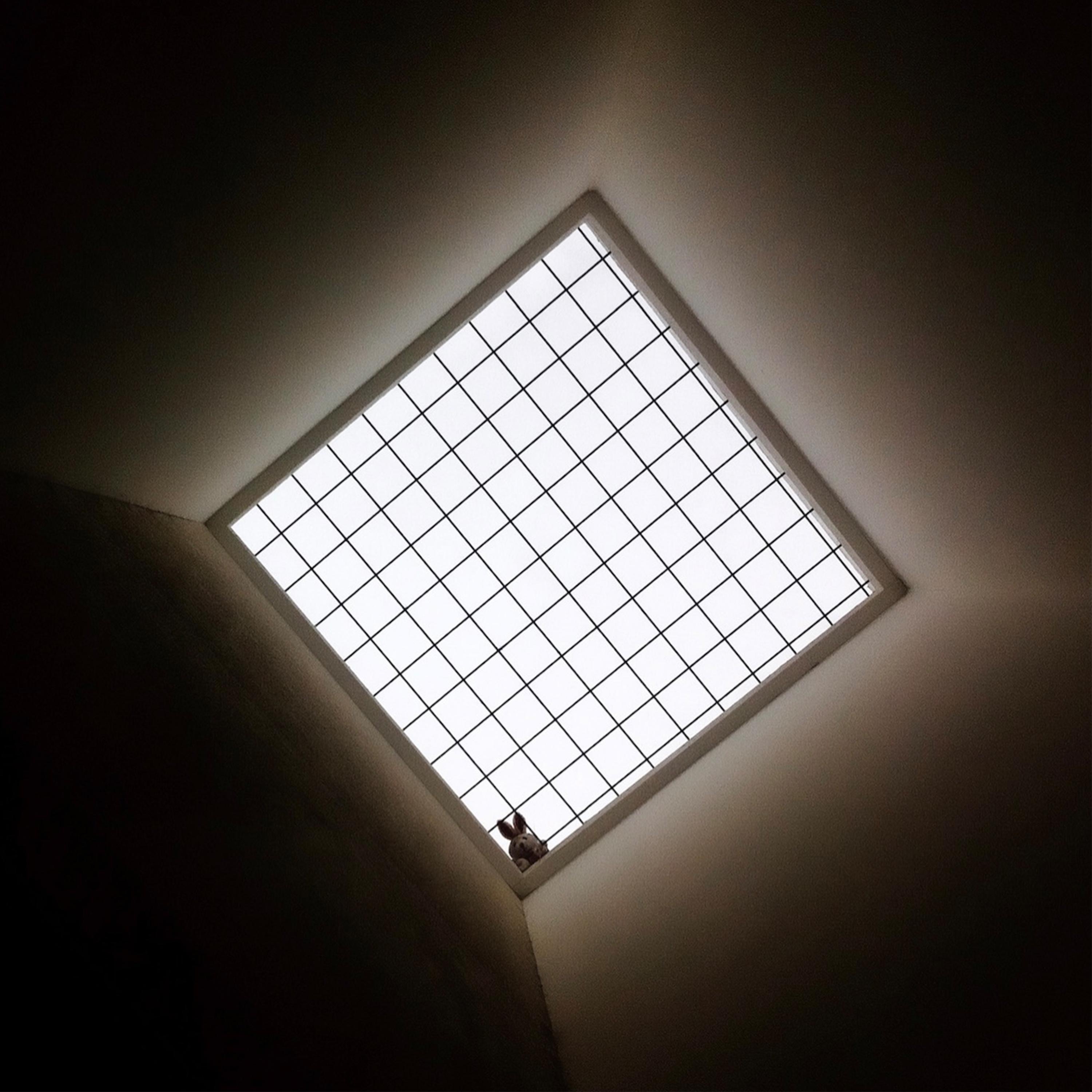 Bright Light (feat. Indyana) - Single