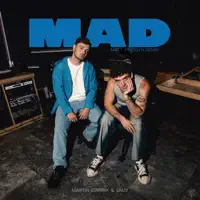 MAD (Matt Pridgyn Remix) — Martin Garrix, Lauv & Matt Pridgyn