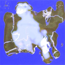 Swapmeet - Collision