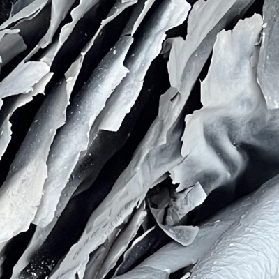 All Your Belongings And The Ring - Single