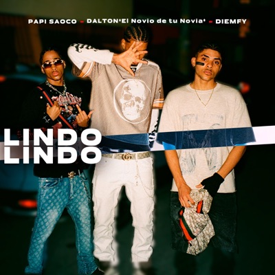 Lindo Lindo (feat. Papi Saoco & El novio de tu Novia) - Single