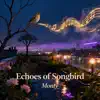 Echoes of Songbird