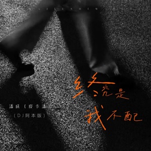 终究是我不配 (DJ阿本版) - Single