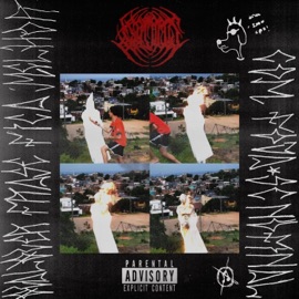 coringar (feat. tsuki) isotopxs