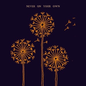 Never On Your Own - Single