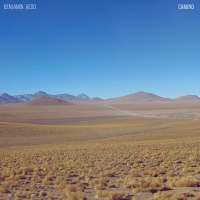 Camino (feat. Nico Carreño) - Single
