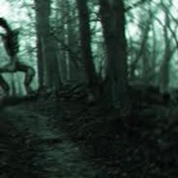 Jaded - Single - willow.x