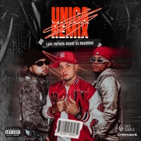 Única (feat. Roudihel & Luis Fermin) [Remix] - Single - Danel Vz