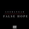 False Hope - Single