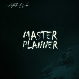 Master Planner Article Wan