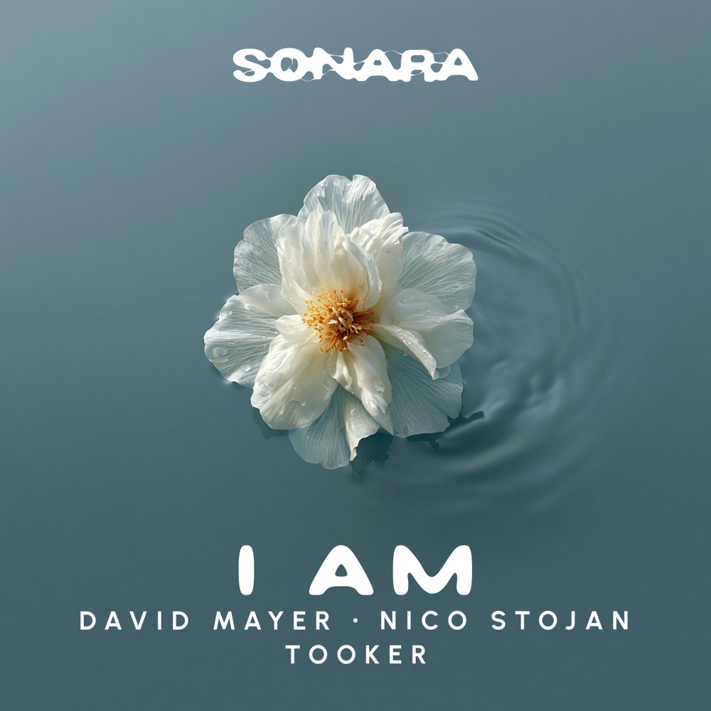 Обложка альбома «I Am - Single» — David Mayer, Nico Stojan & Tooker