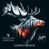 Florian Jubin Confluence Confluence - Single