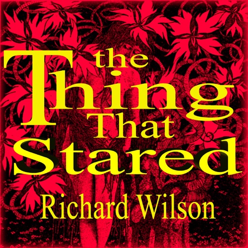 The Thing That Stared (Unabridged) cover