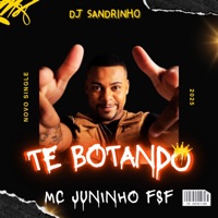 TE BOTANDO (feat. Mc Juninho FSF) - Single - DJ Sandrinho