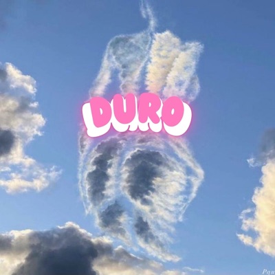 Duro (feat. Rxcardo) - Single