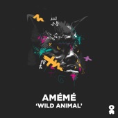 Wild Animal artwork
