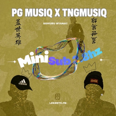 Mini Sub 2.8hz (feat. PG MusiQ) - Single