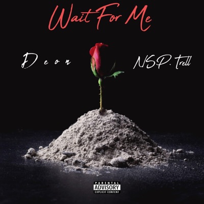 Wait for me (feat. Nsp.Trell) - Single
