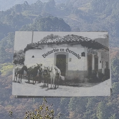 Disturbio en Gerundio - Single