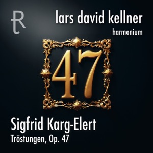 Tröstungen, Op. 47: 3. Alles Vergängliche ist nur ein Gleichnis