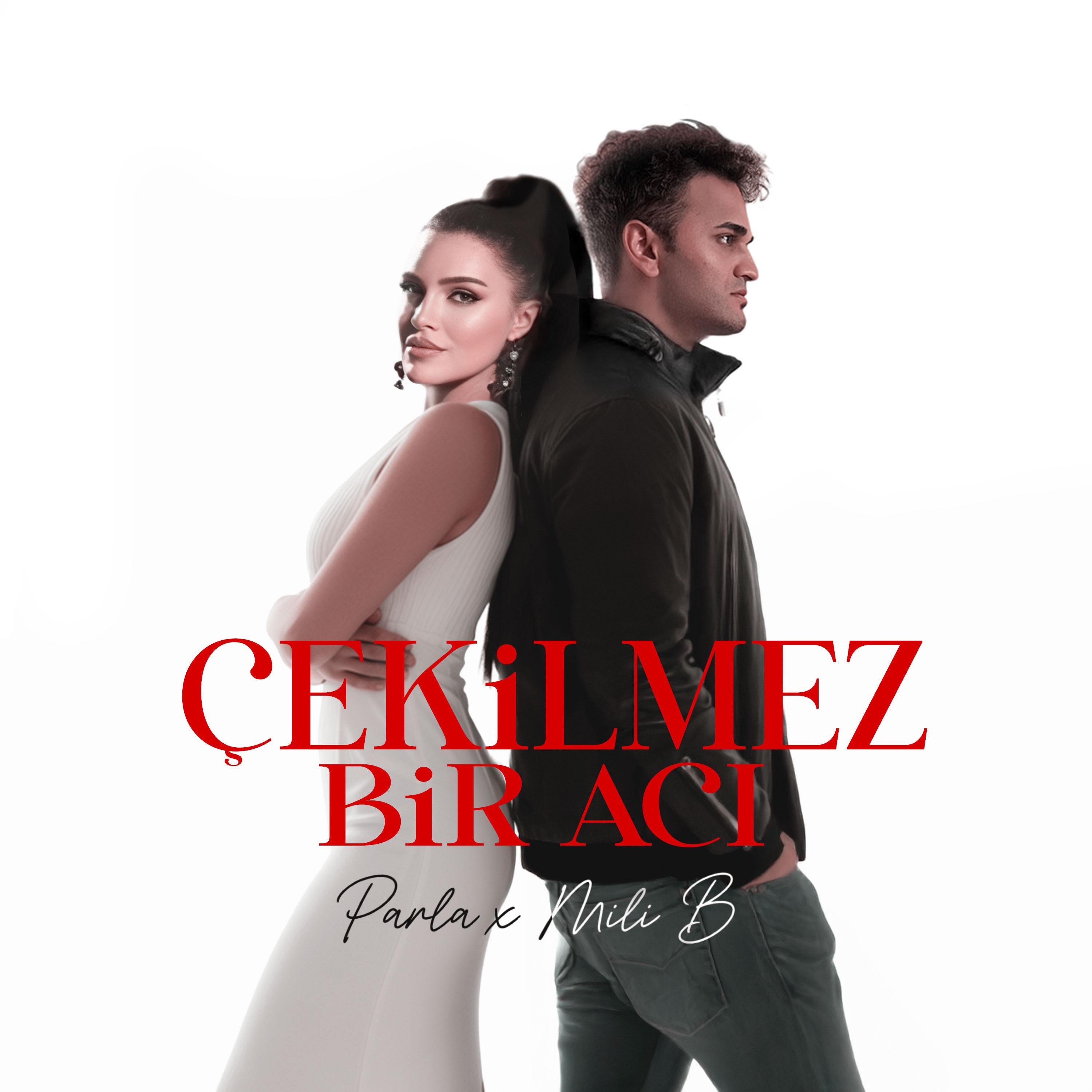 ÇEKİLMEZ BİR ACI - Single
