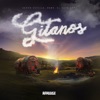 Gitanos (Radio Edit) - Single