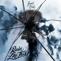 RAIN LIKE THIS — BERK OCAL