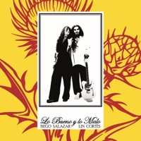 Lo Bueno y Lo Malo (feat. Josué Ronkio & Jose Maria Cortina) - Single - Bego Salazar, Lin Cortés & Ptt Fernandez