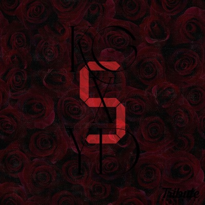 5 (feat. Yuridope) - Single